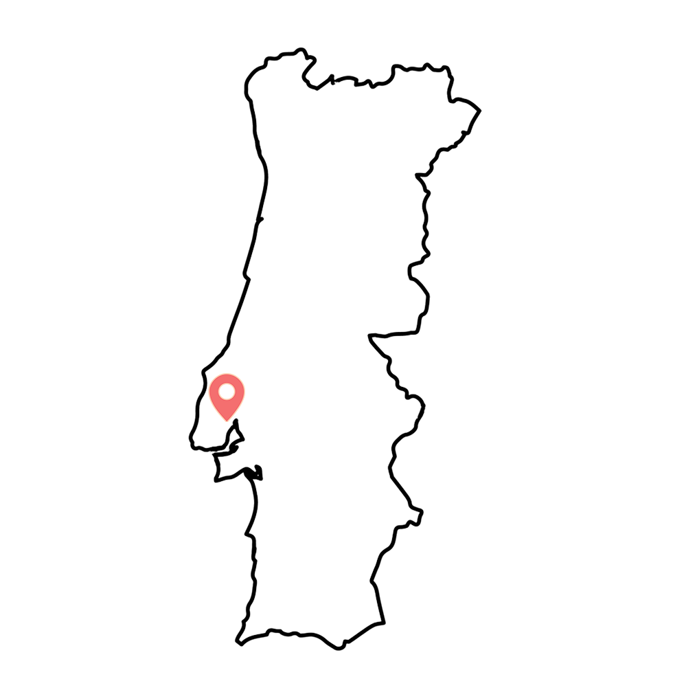 Destination Additional Image